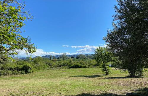 Mas Bruneau - Foto 7