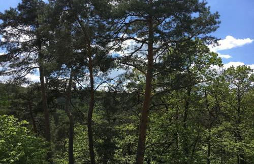 Ferienhaus im Wald an der Weinstrasse - Foto 16