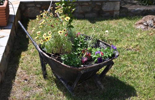 Mouses Apartments-Kardamyli - Foto 65