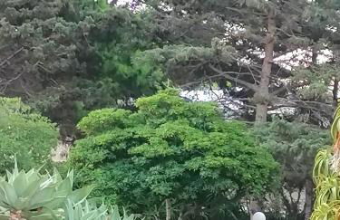 VillA LA PinetA - Foto 16