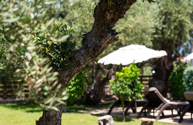 Azure Palatial - Foto 40