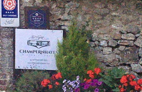 Owl - Ukc6107 - Photo 12