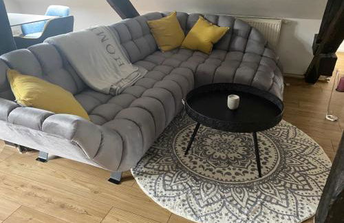 Stilvolle Ferienwohnung in historischer Stadtvilla - Foto 11