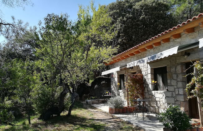 Huerto San Antonio - Foto 61