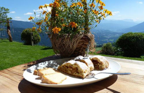 Pitznerhof - Foto 52