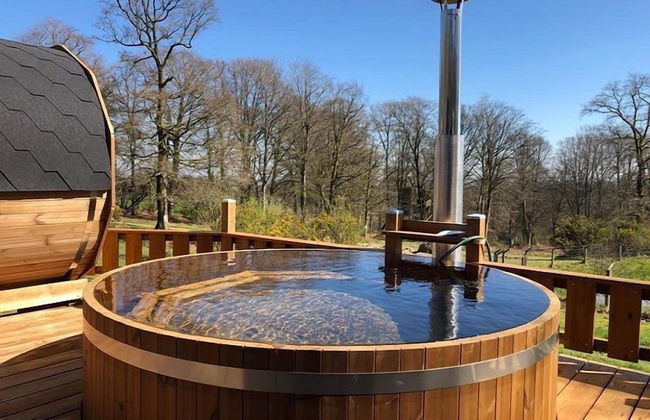 Etape en forêt - Foto 51