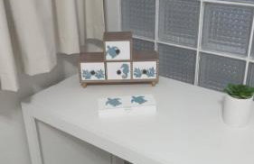 apto confortável em Pirangi do Norte - Foto 22