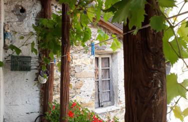 Casa Vacanze La Mezzaluna - Foto 8