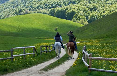 Maso Patrizia - Il tuo rifugio nella natura - Foto 39