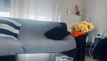 Nàra house - Photo 4