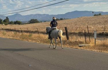 Prairie Home - Foto 21