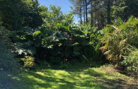 Lofthouse - secluded quirky cottage with sea views! - Photo 19