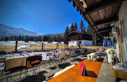 Nattersbergalm - Foto 4