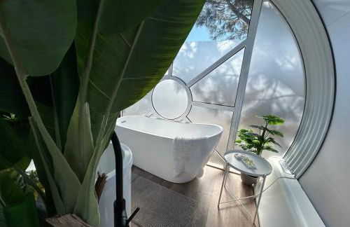 SKD Casa Amarilla Suite Rivera - Photo 9