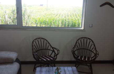 Playa de Consolaçao - Foto 38