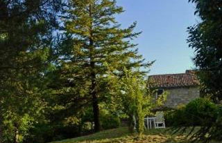 Borgo Petraio - Foto 32