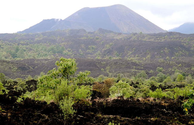 Excursión al volcán Paricutín y Angahuan - Foto 2