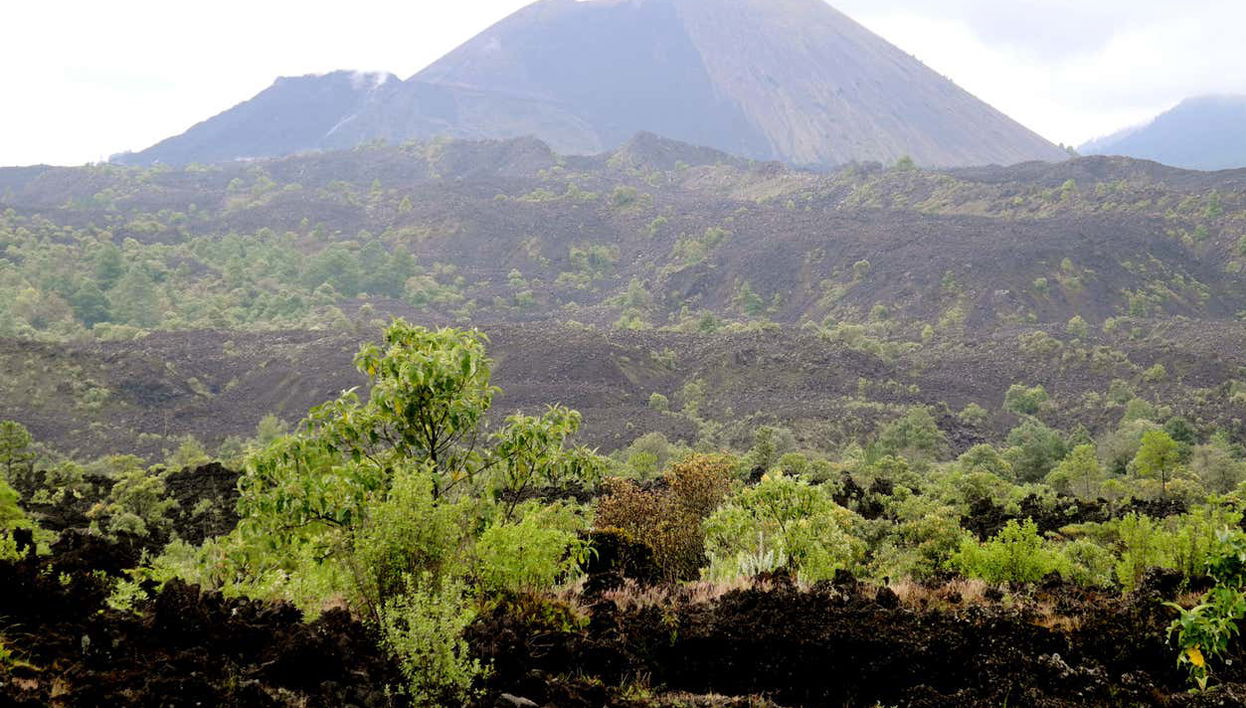 Excursión al volcán Paricutín y Angahuan - Foto 2, Volcán más joven del mundo