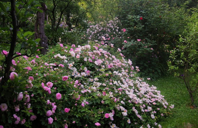 La Traversina - Agriturismo di Charme - Foto 38