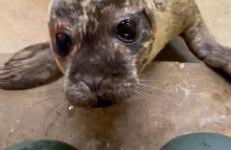 Waterloo Sunset - Foto 42