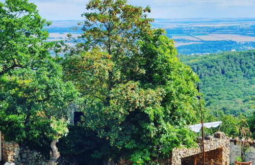 Ferienwohnung ODIN, FREYA & THOR - Foto 33