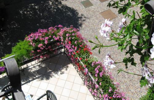 Agriturismo Odorizzi - Photo 41