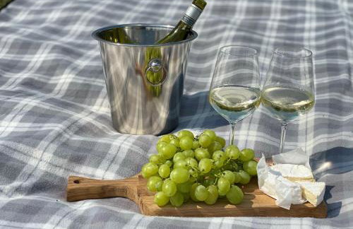 U Ewy pod Brzozami - Foto 29