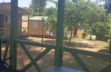 Bungalow charmant à Sorbo-Ocagnano avec jardin - Foto 6