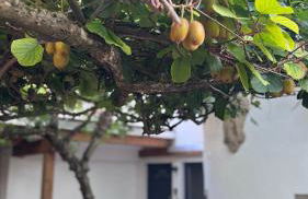 Design Penthouse im Schlossareal Deidesheim - Foto 37