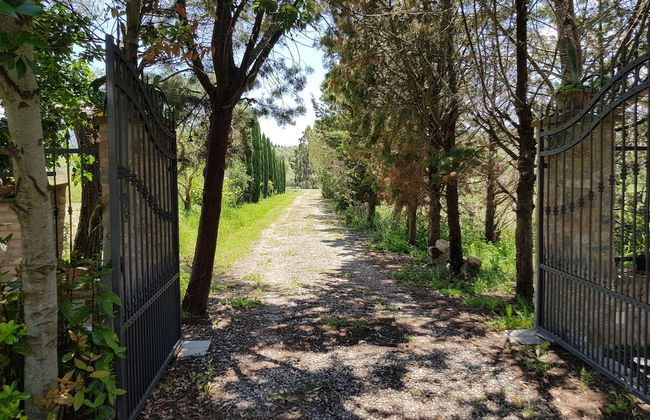 Agriturismo Bio 4 Stagioni - Photo 38