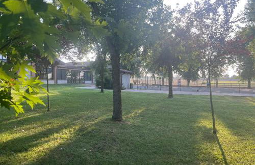 Il Cortile Agriturismo - Foto 3