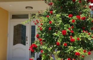 Ferienwohnung Kirsch - Foto 1