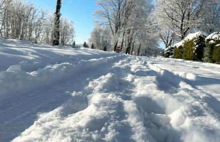 Modernes Familien Tiny House - Natur & Sternenhimmel inklusive! - Foto 33