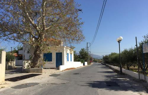 Livanina apartments - Foto 48