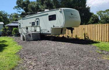 Shroom-life farm Duck Hut - Foto 14