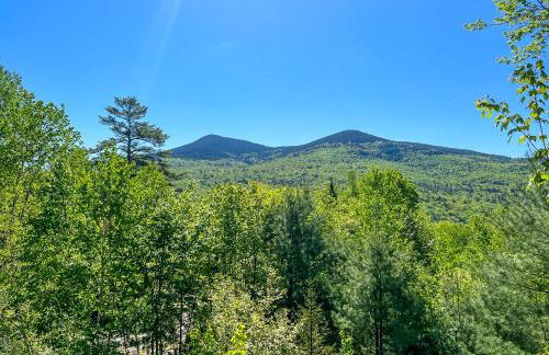 The Liechtenstein Haus - Photo 38