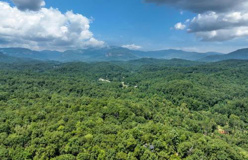 The Holiday Cabin at Lake Lure - Photo 30