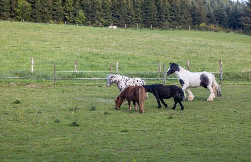Ferienhaus Weitblick - Foto 45