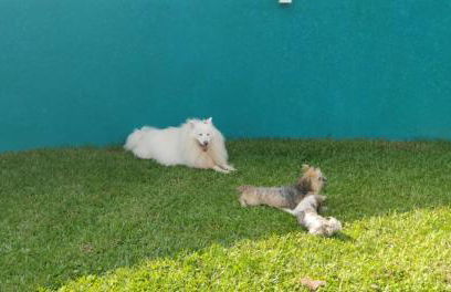 Maré de Lua Boracéia - Casas com 1 e 3 quartos - 1 quarteirão da Praia de Boracéia - São Sebastião - Foto 26