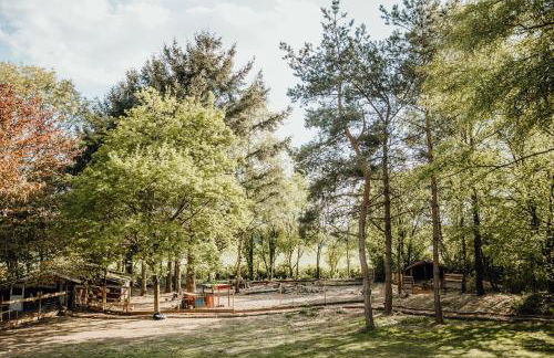 Eifelhüttchen Rotkehlchen - Foto 8