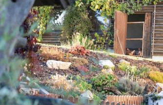 Ferienhof Stöhrmühle - Foto 49