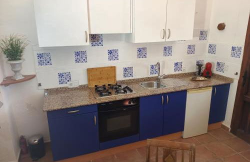 El Oasis Morado - Foto 23