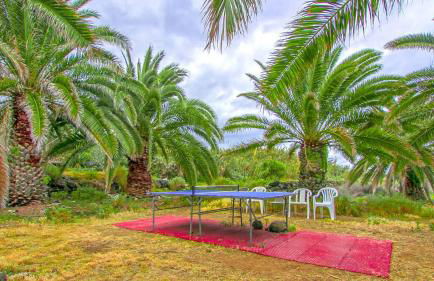 Apartments Finca El Rincón - Foto 43