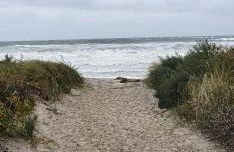 Ostseerauschen - Foto 26