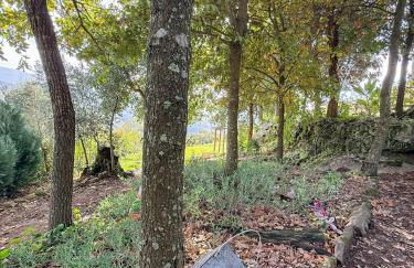 Bosque da Fantasia - Foto 60