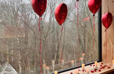 3 x bespoke built cabins with hot tubs, mid Wales - Foto 8