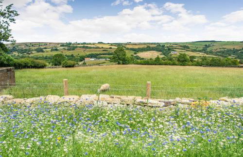 Ivylea Barn - Photo 15