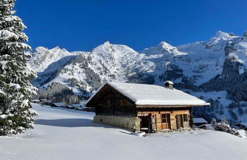 Les Chalets PVG - Photo 16