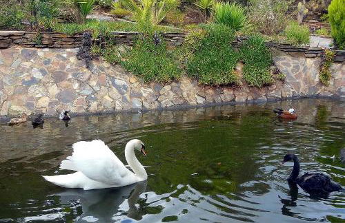 Salgadinho Casa de Campo & Selao da Eira Velha - Foto 18