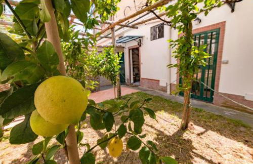 Ravello view - Foto 5